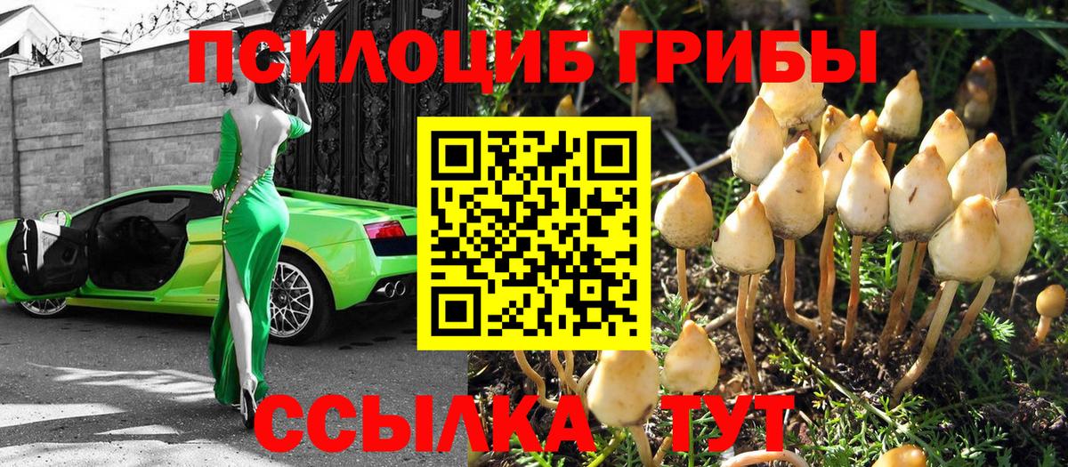 Галлюциногенные грибы мицелий Братск