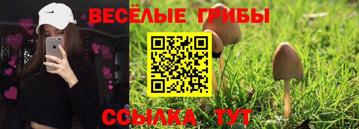 Галлюциногенные грибы MAGIC MUSHROOMS  Вход с VPN  Братск 
